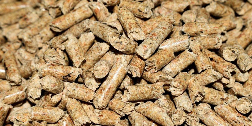 The Best Gaming Mouse