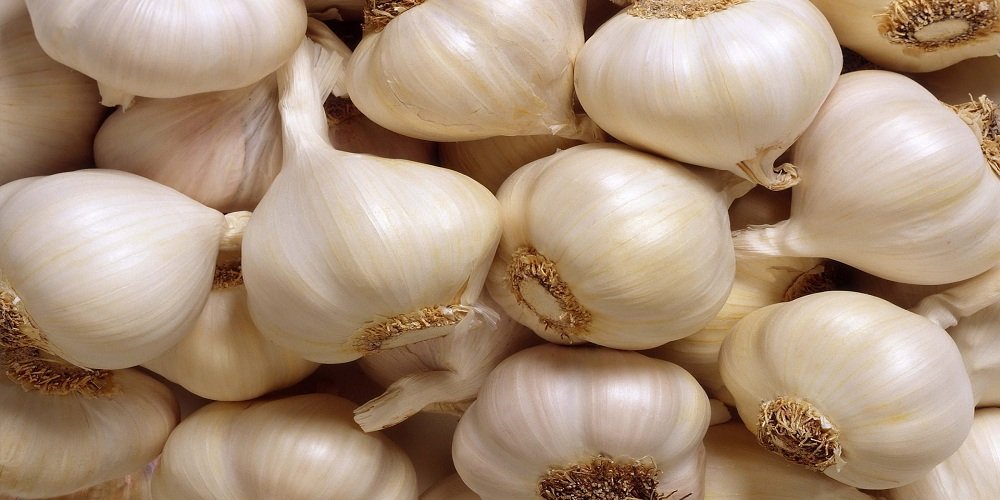 How is Garlic Beneficial for Health?