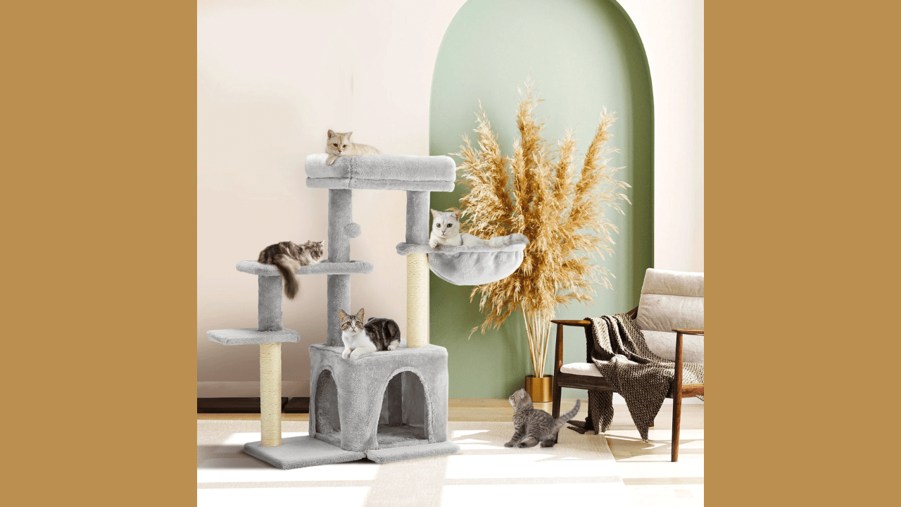 Pamper Your Pets with Erommy’s Premium Cat and Dog Supplies