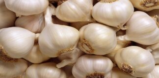 How is Garlic Beneficial for Health?