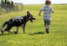 How Are The Boxing Shorts Made From Different Materials Customizable?